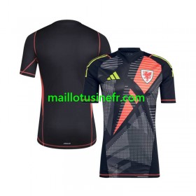 Maillot de Foot Pays de Galles Gardien Domicile 2024